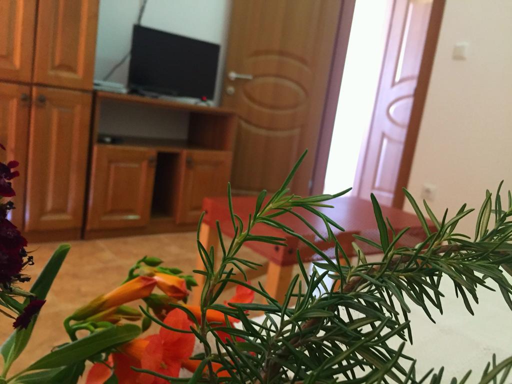 Apartmán Friendly House Ulcinj Exteriér fotografie